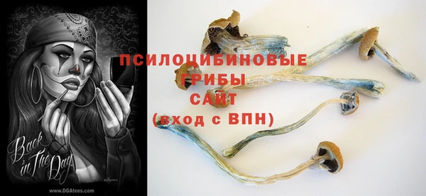 прущий лед Касимов