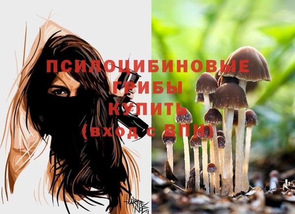 Альфа ПВП Карпинск