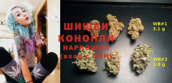 прущий лед Касимов