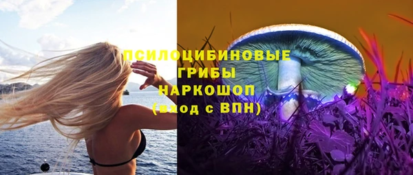 прущий лед Касимов