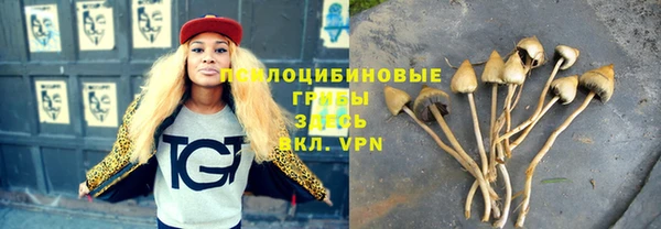 Альфа ПВП Карпинск